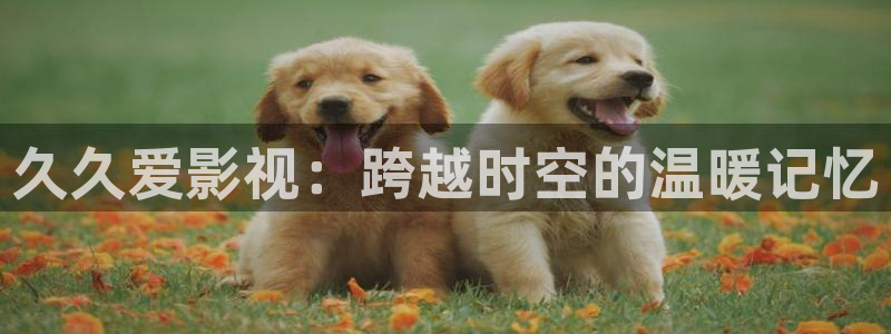 蜂鸟影院在线电影